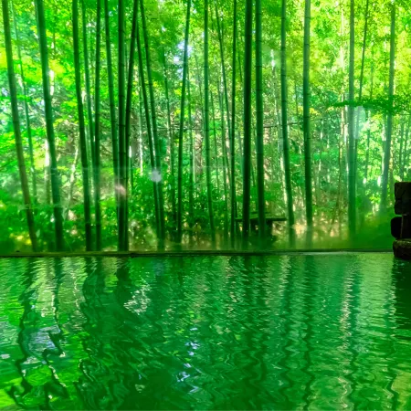 Hakone Onsen Sanso Nakamura