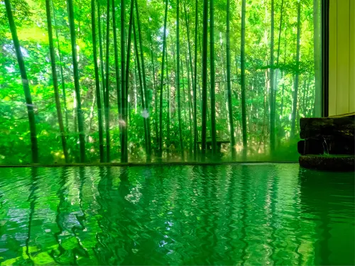 Hakone Onsen Sanso Nakamura - 2-stjärniga