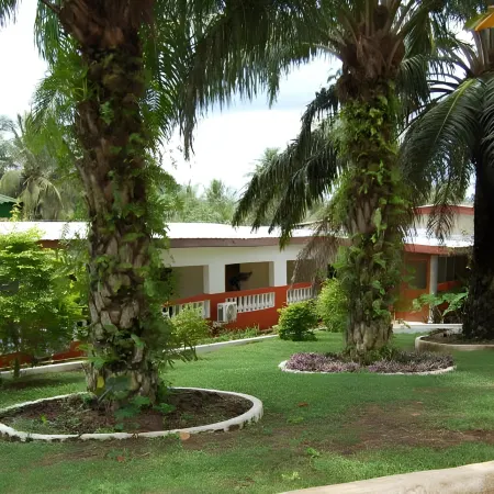 Konkon Wonderland
