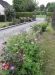 Chambres D’hôtes d'Origny-en-Thierache Hotels in Vervins