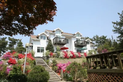 Taean Blueberry Pension