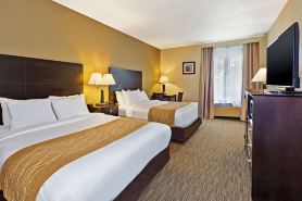 Comfort Inn Whitehall Near Michigan's Adventure