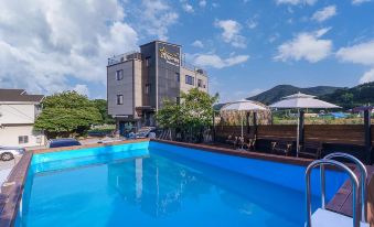 9. 남해 댕댕이 애..