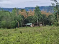 Deep Jungle Home Hotels in Nilgiris