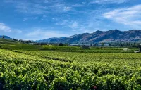 Coast Osoyoos Beach