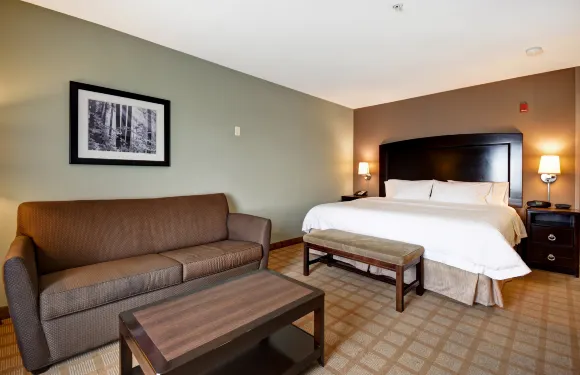 底特律坎頓歡朋套房酒店