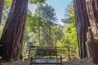 Relaxing redwood forest home with hot tub and sauna at Lagunitas Creek