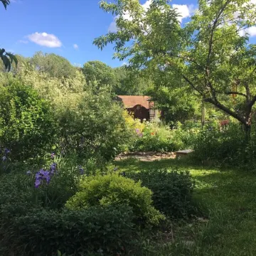 Cozy, Artistic Retreat Surrounded By Waterfalls, Orchards And Gardens