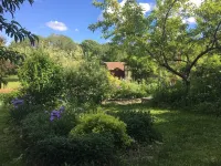 Cozy, Artistic Retreat Surrounded By Waterfalls, Orchards And Gardens