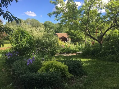 Cozy, Artistic Retreat Surrounded By Waterfalls, Orchards And Gardens