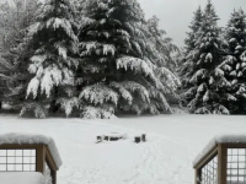 Private Chalet less than 1 mile to  Ski Resort ハンターのホテル