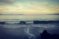 Kymmik Cottage - A slice of Tasmanian paradise