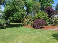 Cozy Little Cabin on the Farm