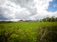 Wild Rose in Rural Location with Lovely Views on a Working Farm with Walks Hotels in Jedburgh