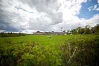 Wild Rose in Rural Location with Lovely Views on a Working Farm with Walks Hotels in Jedburgh