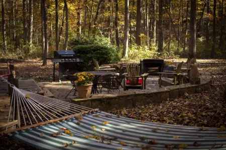 1880's Log Cabin Luxe + 21st c. Comfort = Mentone's Coolest Cabin