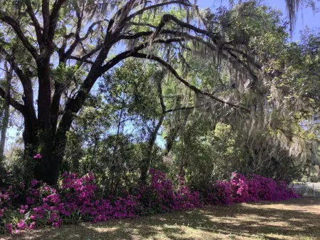 Azalea Farmhouse Отели в г. Макинтош