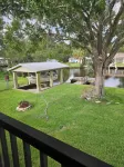 Mason Creek on Homosassa River, 2/1, Pets Yes, Floating Dock, Back/Front Porch - 3-Star
