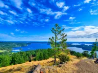 Clean & Cozy 2br/2ba, Remodeled w/ Hot Tub, Close To Beach & Town: See Reviews 東松德住宿飯店