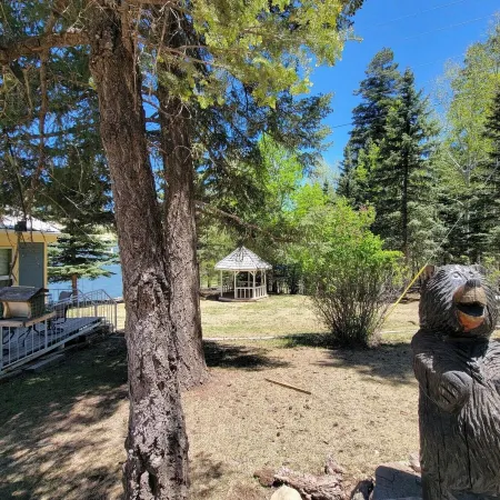 Cozy Condo for 6 with Wooded Back Patio & Grill. 1 Mile to Town Square. Отели в г. Клаудкрофт