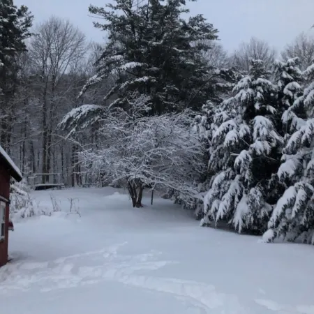 Green Mountain Village Getaway in picturesque Bristol, Vermont. Отели в г. Аддисон