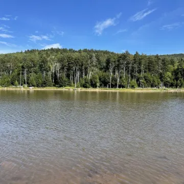 2BR/2BA Luxury Ski in/out condo at Snowshoe Mountain Lodge!