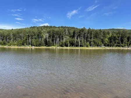 2BR/2BA Luxury Ski in/out condo at Snowshoe Mountain Lodge!