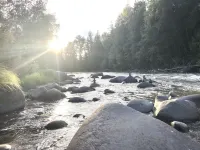 Mid century riverfront cabin. Hot tub, Pet friendly, Riverview
