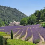 Gîte in Provence swimming pool Mas de charme Hoteles en Le Thor