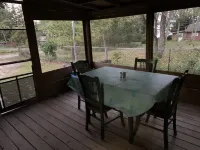 Cozy cabin, lake view, screened porch, 100 steps to the areas best beach.