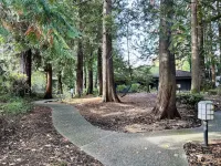 Cozy Downtown 2BD Bellevue Condo Free Parking