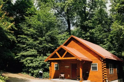 Lazy Days by Rocky Hill Cabins Erb's Coleman Museum 주변 호텔
