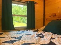 Cozy Tiny Cabin Retreat Hotels in Wayne County