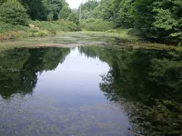 Your accommodation for your stay in the Palatinate Forest Biosphere Reserve