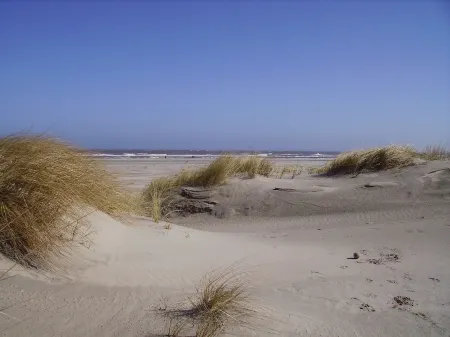 Lone-standing vacation home with a large garden in a peaceful location Отели в г. Брокмерланд