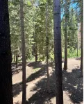 Cozy Northstar Village Retreat Hotels near Our Lady of the Lake Catholic Church