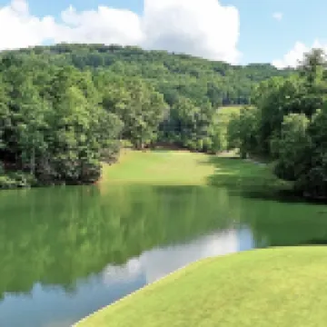 Modern cabin in Big Canoe