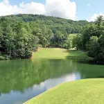 Modern cabin in Big Canoe