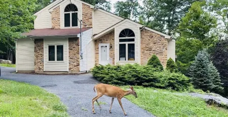 Hot Tub, Pool, Game Room and more fun for the whole family