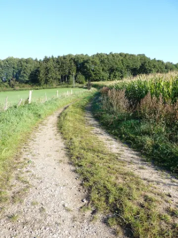 stylish and cozy living in Tudor style house right in the historic Ziehbrunnen Отели в г. Бад-Мюнстерайфель