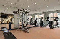 Hotel Indigo NAPERVILLE RIVERWALK by IHG - Gym