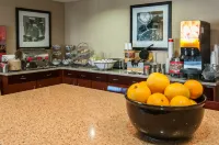 Hampton Inn Boise-Airport - Aamiainen