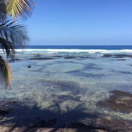 Hawaii Oceanfront 1-bedroom Cottage