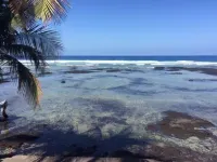 Hawaii Oceanfront 1-bedroom Cottage