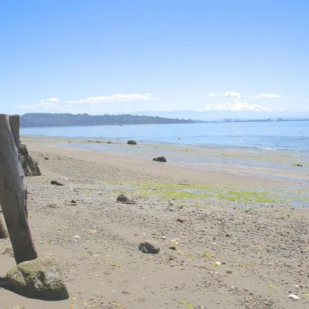 Waterfront Vashon Home with Amazing View