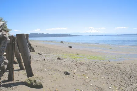Waterfront Vashon Home with Amazing View