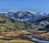 Chic Historic Cottage in the Heart of 3 Rivers - voted Best Vacation Rental 2015