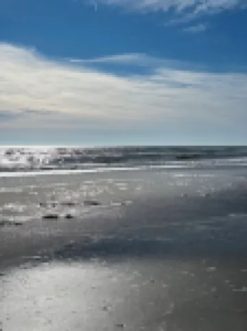 Oceanside Studio Condo. Walking Distance to Beach! Hotels in Emerald Isle