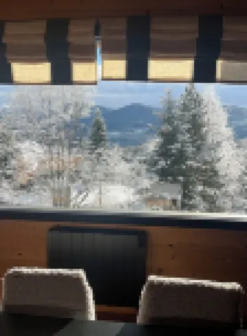 Large chalet 12 people