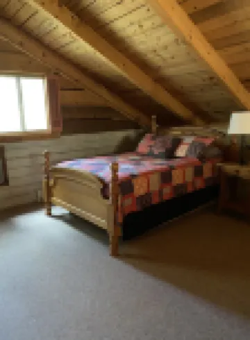 Cozy streamfront cabin nestled in the pines